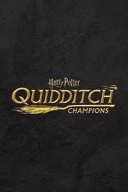 постер игры Harry Potter: Quidditch Champions